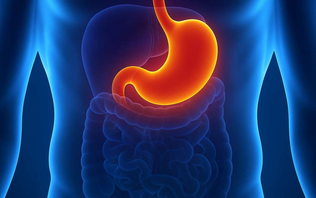 Mide ve Bağırsak Cerrahisi